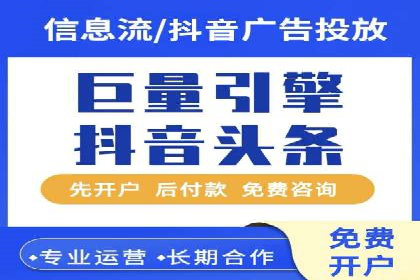 竞价广告的智能投放：XX平台的创新实践